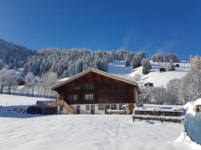 BnB Fellacher Adelboden